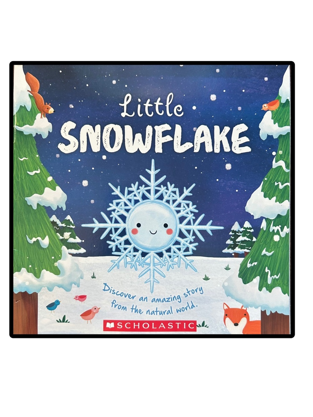 BUNDLE & SAVE 📚Little Snowflake Discover an amazing story from the natural world